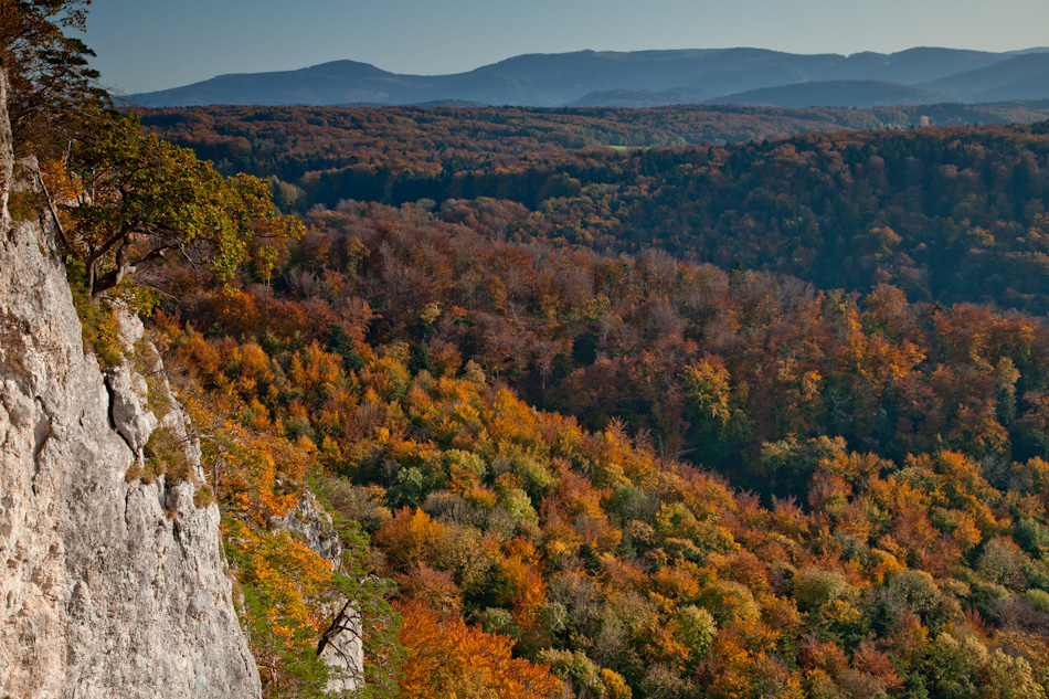 Herbstliche Waldlandschaft Schartenfluh Arlesheim Baselland Solothurn Schweiz Jan Geerk Fotograf Basel