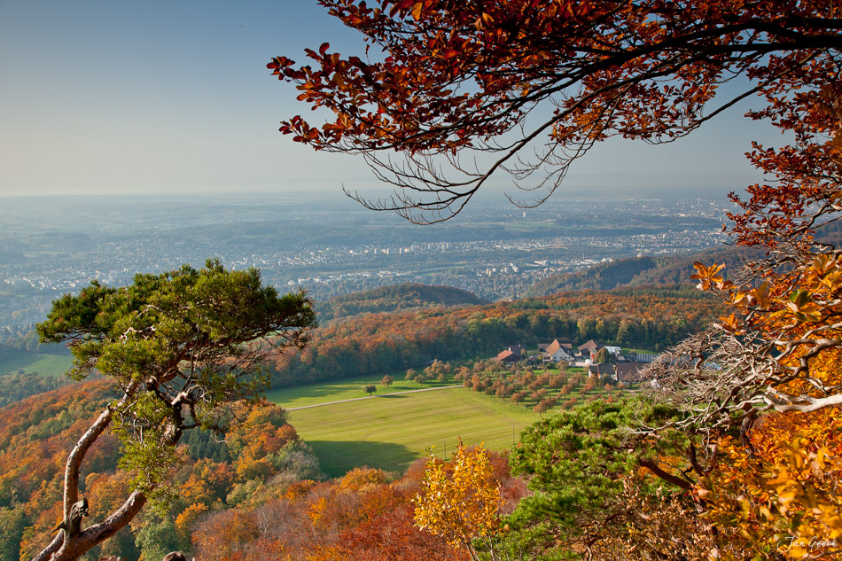 Herbstwald Gempenfluh Panoramablick Nordwestschweiz Schweiz Jan Geerk Fotograf Basel