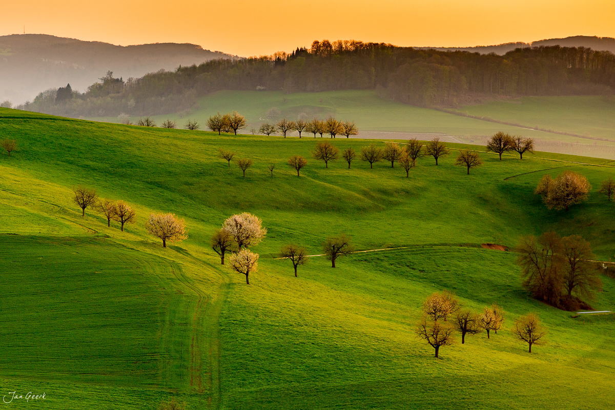 Kirschblüte Olsberg Sonnenaufgang Baselland Schweiz Jan Geerk Fotograf Basel