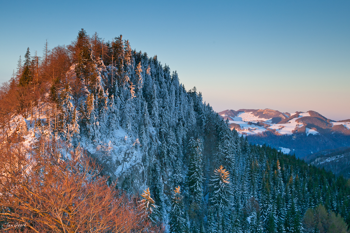 Schneebedeckte Fichten und Lärchen Belchen Herbst Winter Nordwestschweiz – Jan Geerk Fotograf Basel