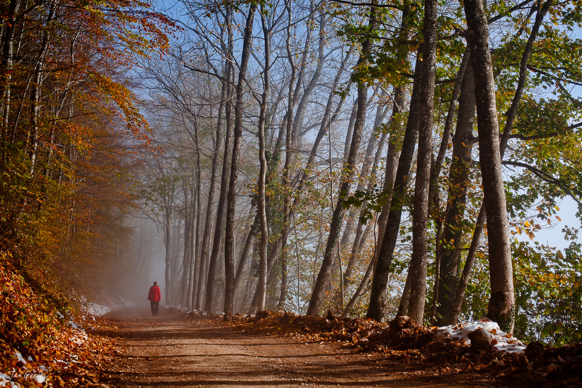 Wanderer auf Waldweg Belchen Herbst Nordwestschweiz – Jan Geerk Fotograf Basel