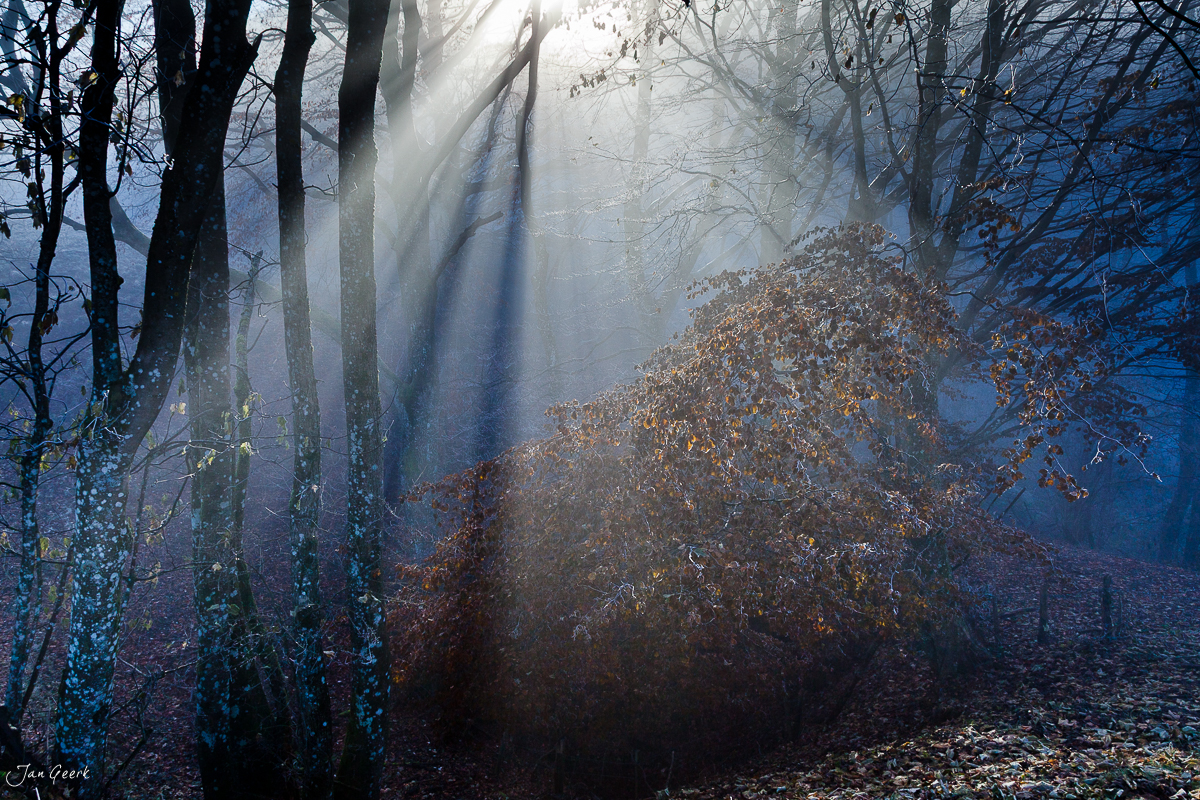 Nebelwald mit Rauhreif am Belchen Eptingen Baselland Schweiz – Jan Geerk Fotograf Basel