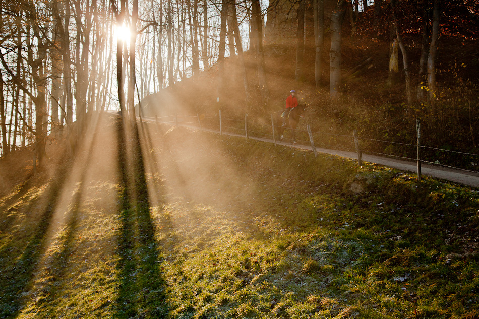 Jogger im Nebelmeer am Belchen Herbst Baselland Schweiz Jan Geerk Fotograf Basel