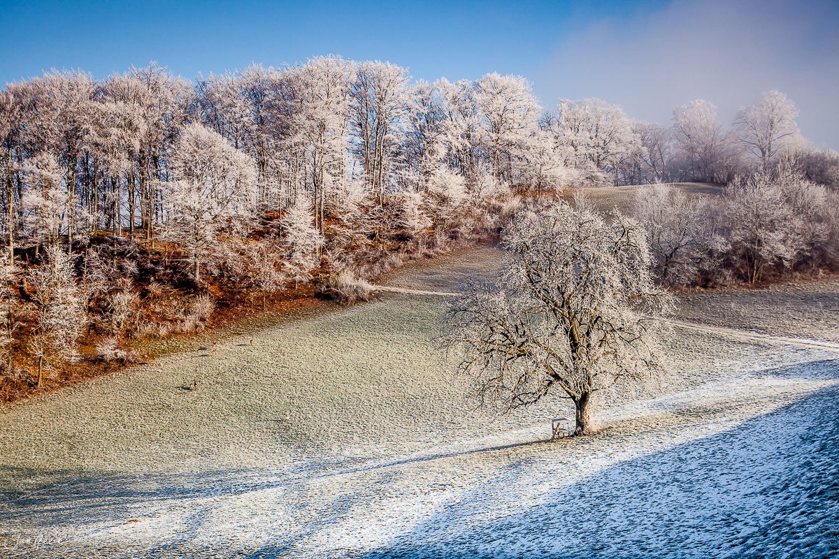 Gefrorener See mit Reif bedeckten Bäumen und Wald im Winter Nordwestschweiz Schweiz – Jan Geerk Fotograf Basel