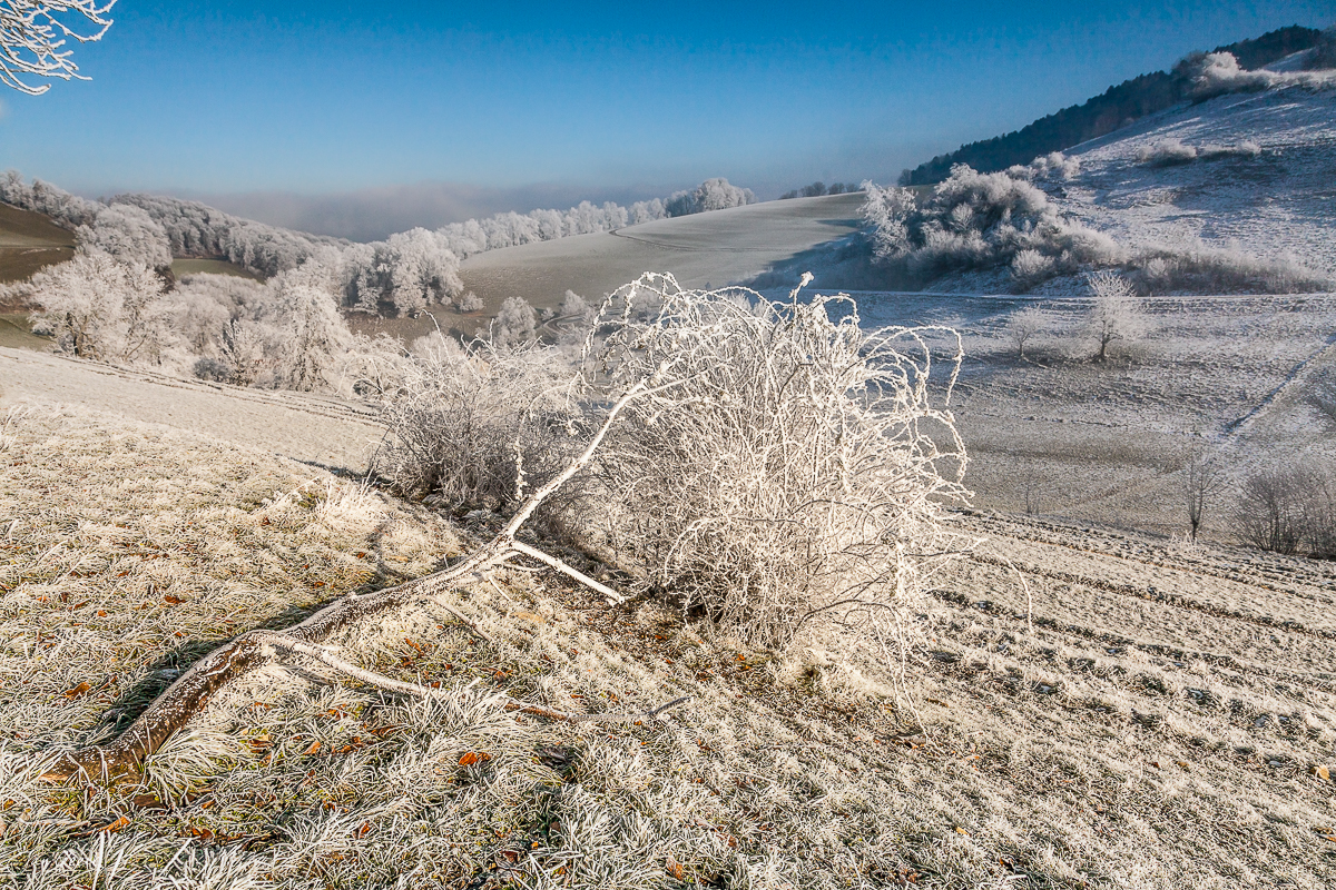 Raureif bedeckte Landschaft mit verschneiten Bäumen und Feldern in der Nordwestschweiz im Winter – Jan Geerk Fotograf Basel
