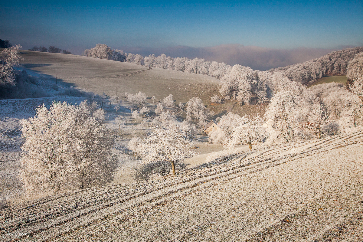 Winterlandschaft mit Raureif und schneebedeckten Bäumen in der Nordwestschweiz – Jan Geerk Fotograf Basel
