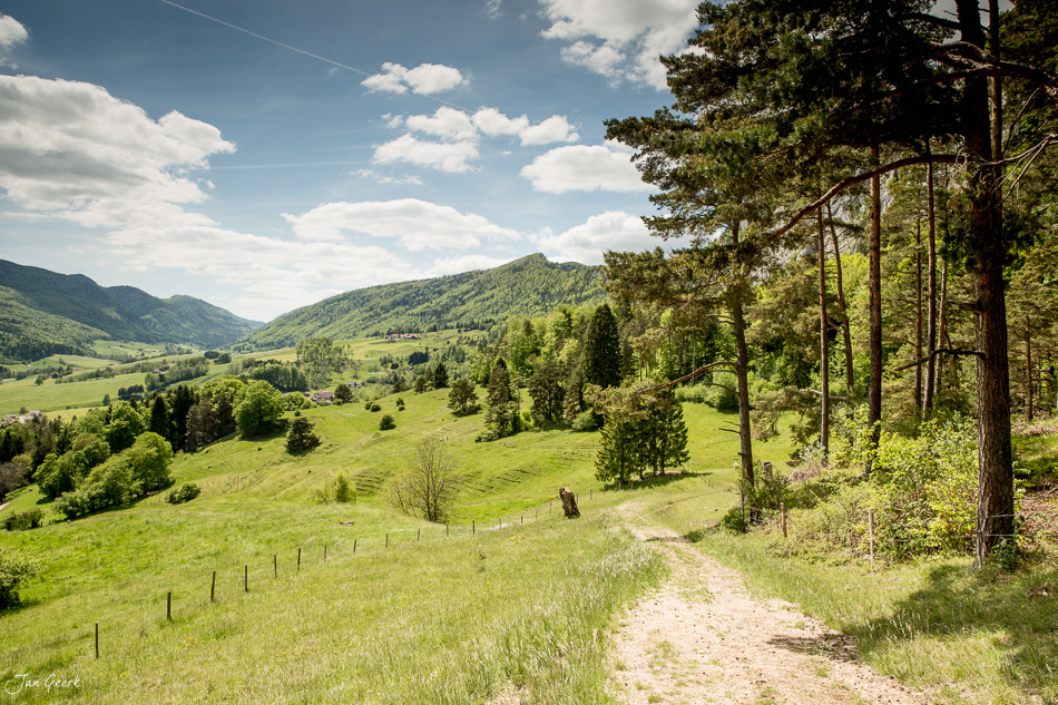 Wanderweg durch grüne Wiesen und Fichtenwälder bei Welschenrohr, Jura-Naturpark, Frühjahr, Solothurn Schweiz – Jan Geerk Fotograf Basel