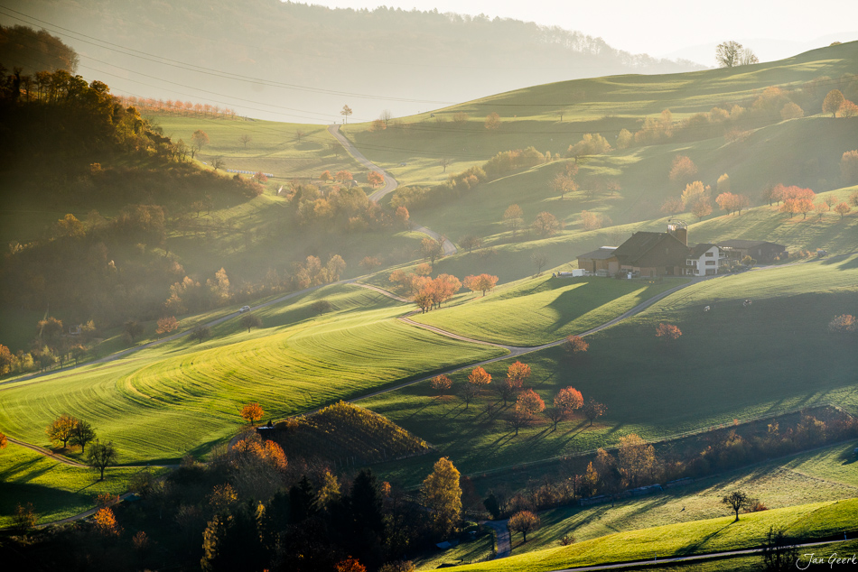 Herbstliche Hügellandschaft in Wintersingen mit sanften grünen Wiesen, bunten Bäumen und golden glänzender Sonnenlicht-Atmosphäre in der Schweiz – Jan Geerk Fotograf Basel
