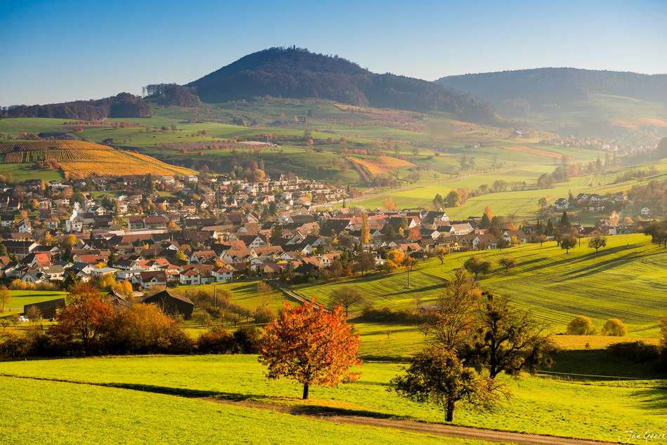 Herbstliche Landschaft bei Wintersingen mit grünen Wiesen, leuchtenden Bäumen und malerischem Dorf – Baselland Schweiz Jan Geerk Fotograf Basel