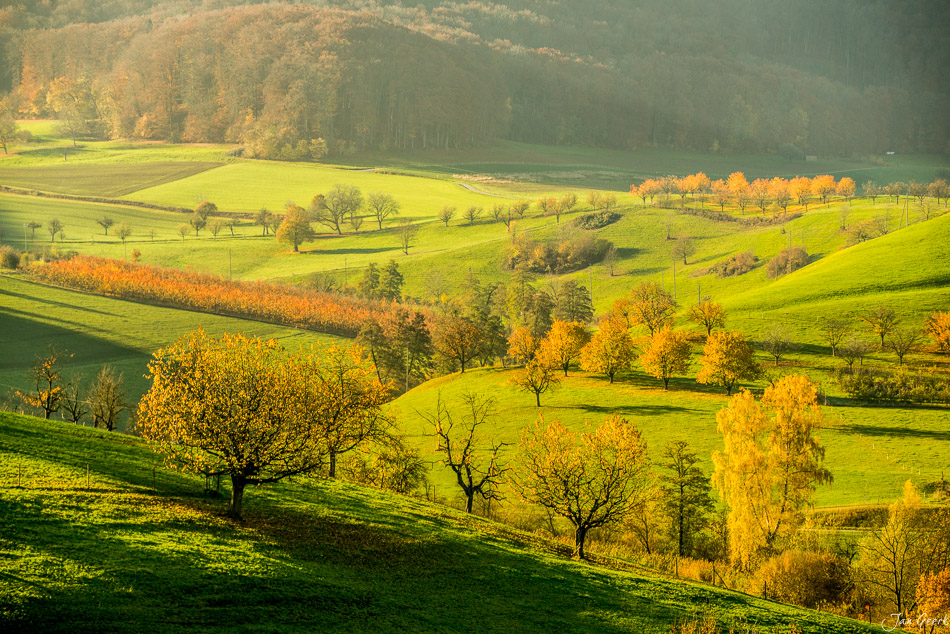 Herbstliches Tal bei Wintersingen mit Laubwald und Wiesen in Baselland Schweiz – Jan Geerk Fotograf Basel