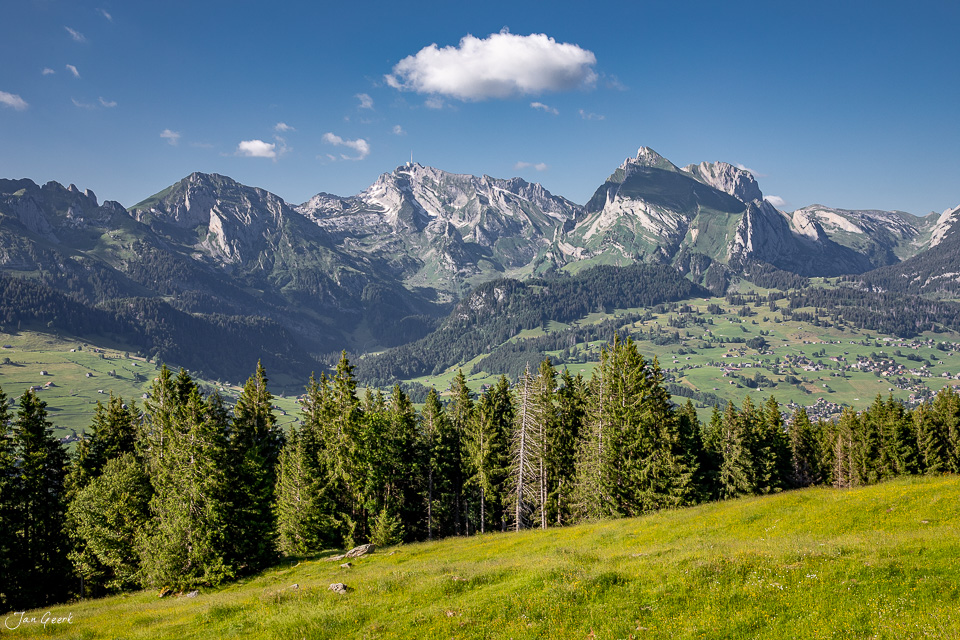 Alpwiese Sellamatt mit Bergketten und Nadelwald im Toggenburg Sommer Schweiz – Jan Geerk Fotograf Basel