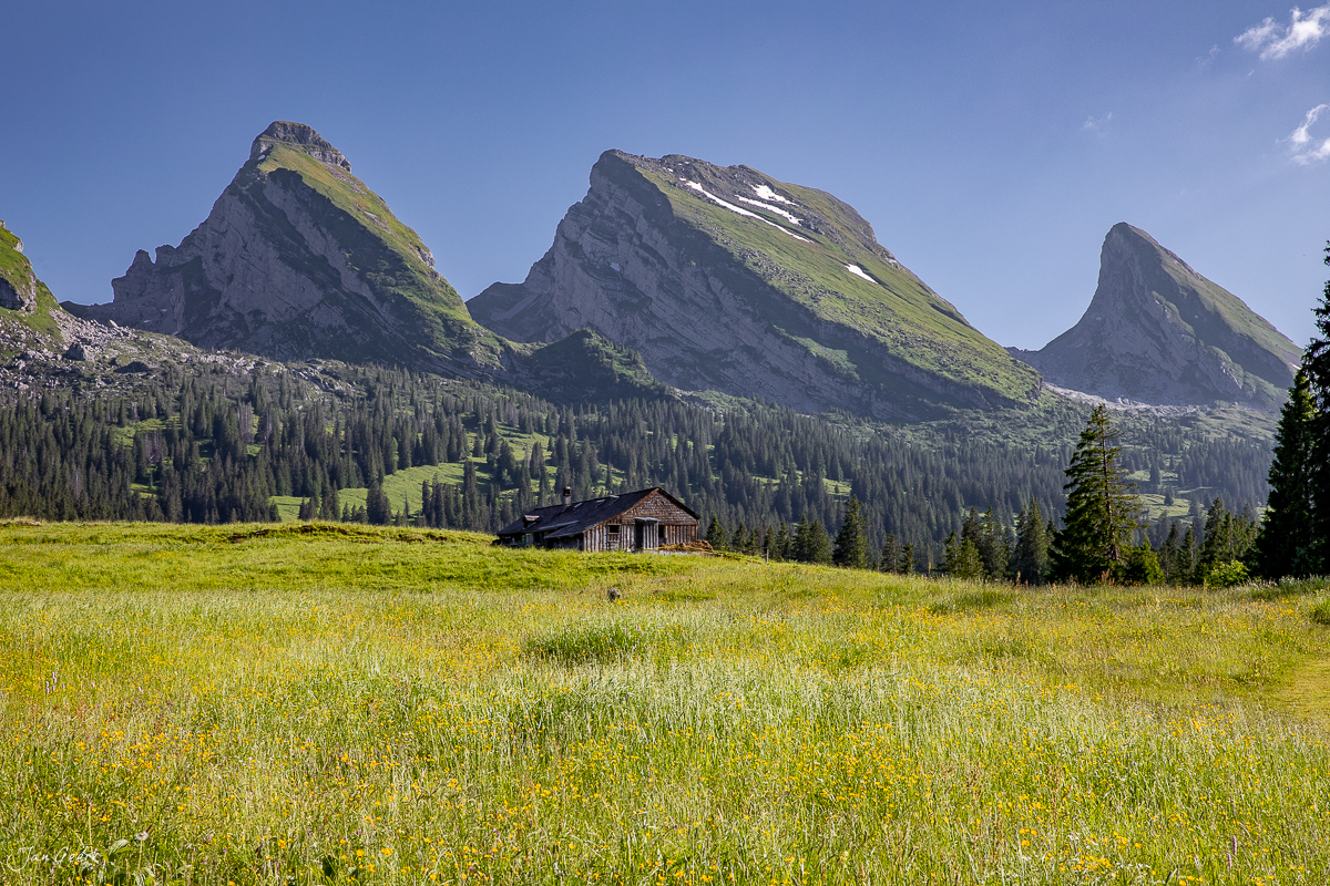 Alpwiese mit Berghütte und Gipfel der Sellamatt in Toggenburg, Sommerliche Berglandschaft der Ostschweiz – Jan Geerk Fotograf Basel