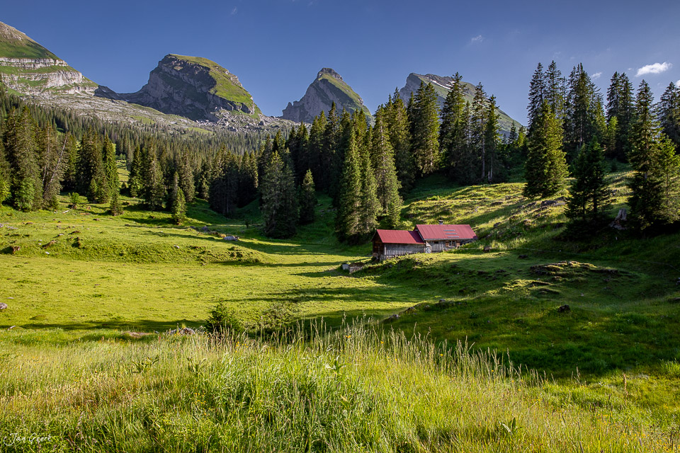 Alp Sellamatt mit Alphütte, Bergwald und Churfirsten im Sommer, Toggenburg Schweiz – Jan Geerk Fotograf Basel