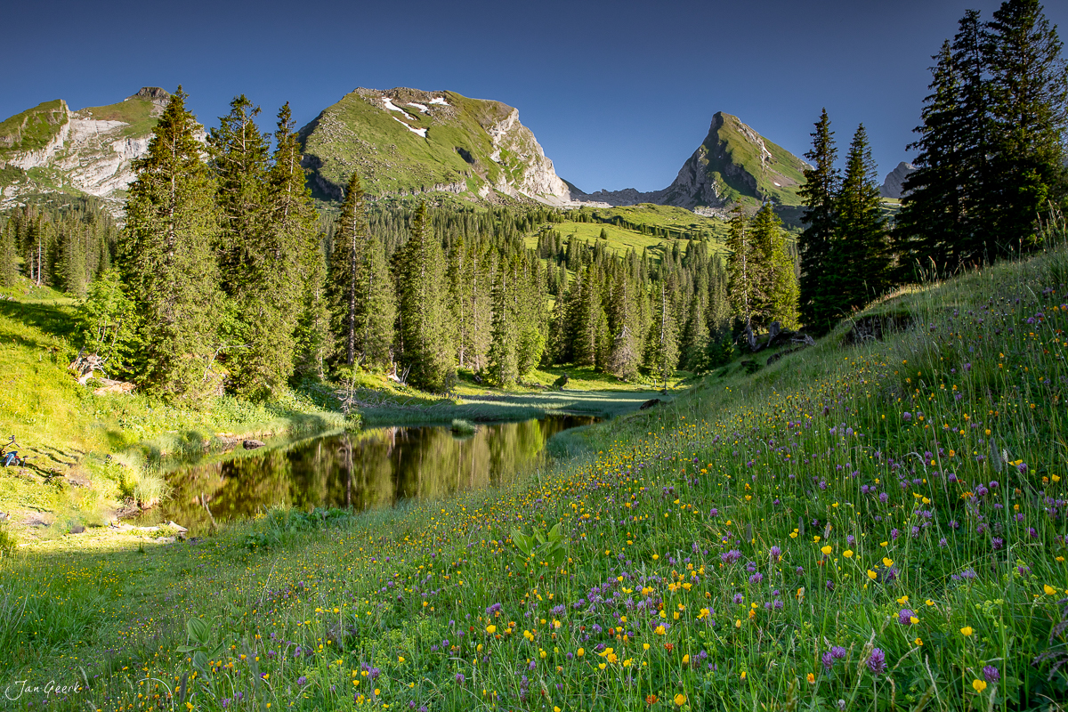 Alpwiese mit Bergsee und Bergpanorama auf der Sellamatt im Sommer, Appenzell Alpen Schweiz – Jan Geerk Fotograf Basel