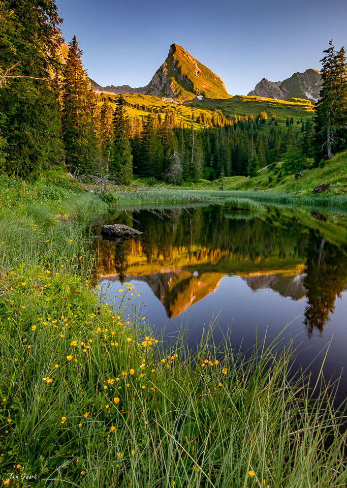 Bergsee Sellamatt mit Spiegelbild des Berggipfels, Lärchenwälder in Herbstfärben, Alpenmeer Ostschweiz Schweiz – Jan Geerk Fotograf Basel