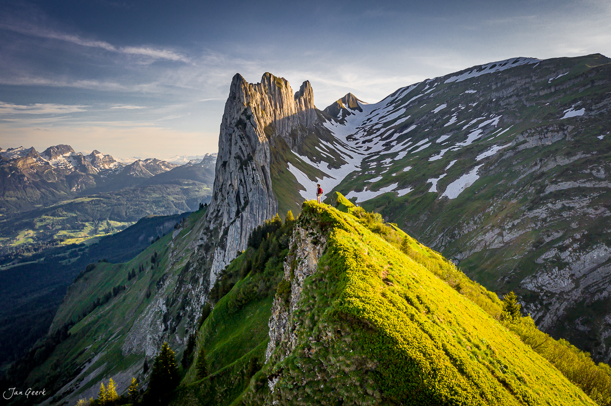 Wanderer auf gelbem Bergkraut an der Saxer Lücke mit Kreuzberge Felswand Appenzell Alpen Schweiz Jan Geerk Fotograf Basel