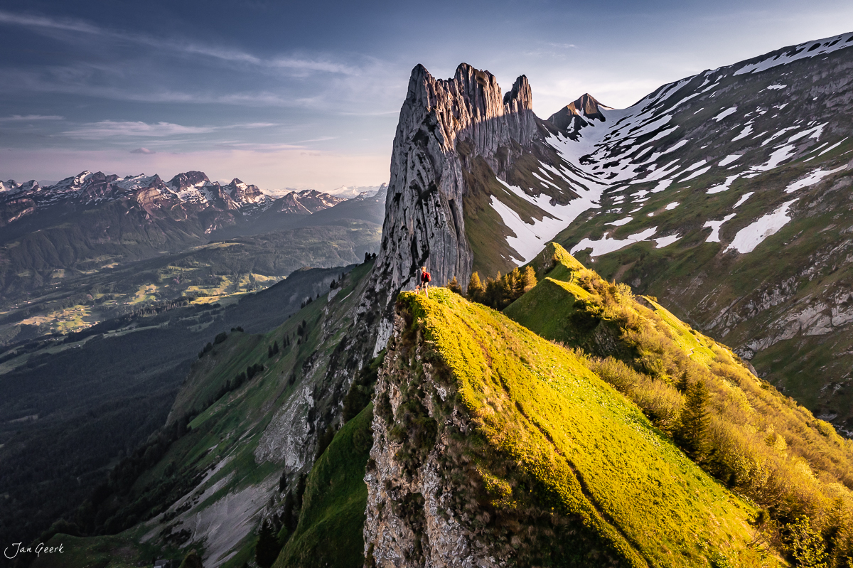 Kreuzberge Appenzell Alpstein Kalkfelsen gelbe Bergblüten Frühjahr Ostschweiz Schweiz Jan Geerk Fotograf Basel