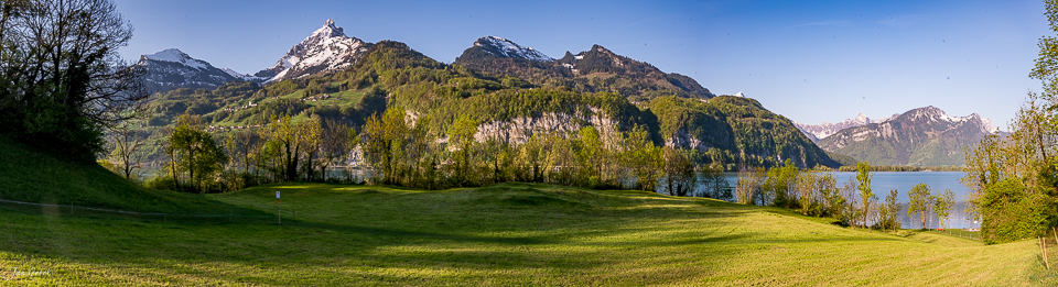 Grüne Wiese mit Weidenbäumen am Walensee, schneebedeckte Berge im Hintergrund, Frühjahrslandschaft Ostschweiz – Jan Geerk Fotograf Basel