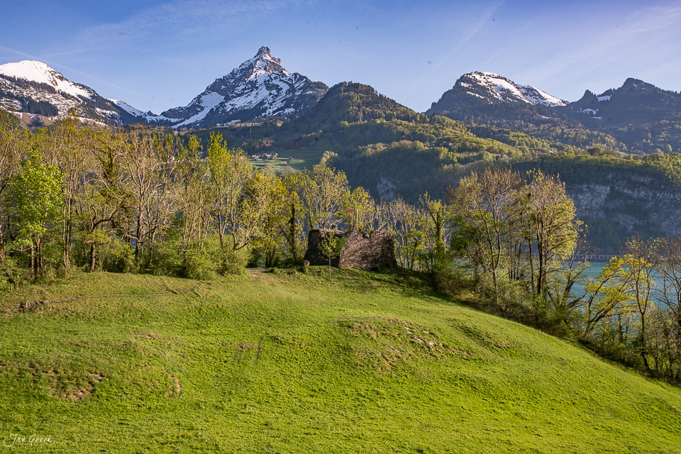 Grüne Wiese mit Birken, Alpenpanorama und Walensee im Frühling, Ostschweiz – Jan Geerk Fotograf Basel