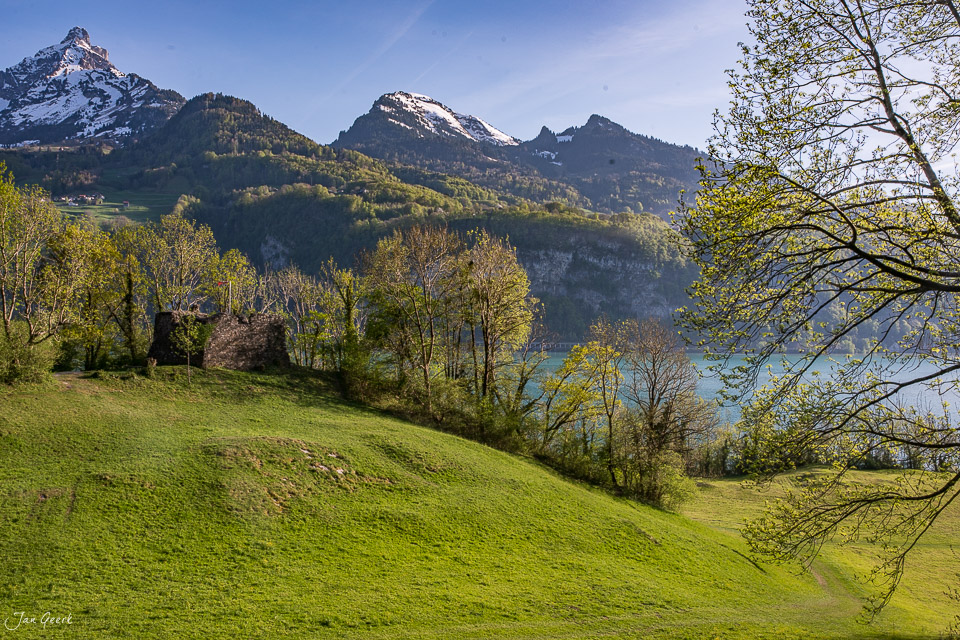 Grüne Wiese mit Obstbäumen am Walensee, verschneite Berge im Hintergrund, Frühjahr in der Ostschweiz – Jan Geerk Fotograf Basel