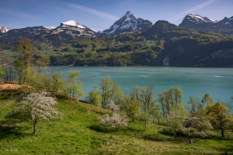 Blühende Obstbäume am Walensee mit schneebedeckten Bergen im Frühling, Ostschweiz – Jan Geerk Fotograf Basel