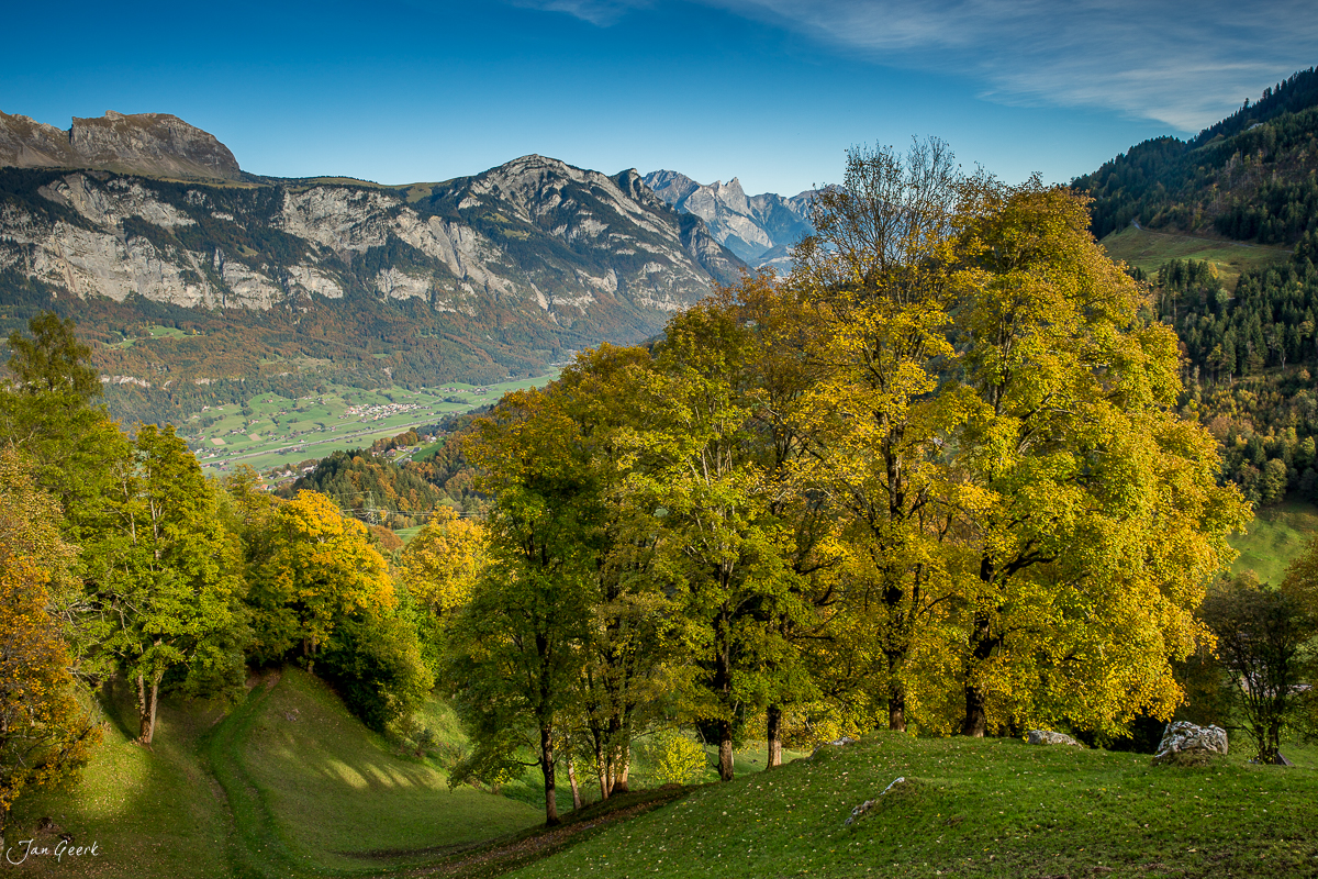 Herbstliche Laubwälder am Flumserberg mit Blick ins Tal, golden gefärbte Bäume, Schweizer Alpen, Oktober – Jan Geerk Fotograf Basel