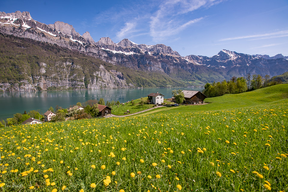 Blütenwiese am Walensee mit traditionalen Häusern, Churfirsten Bergkette im Frühling, Ostschweiz – Jan Geerk Fotograf Basel