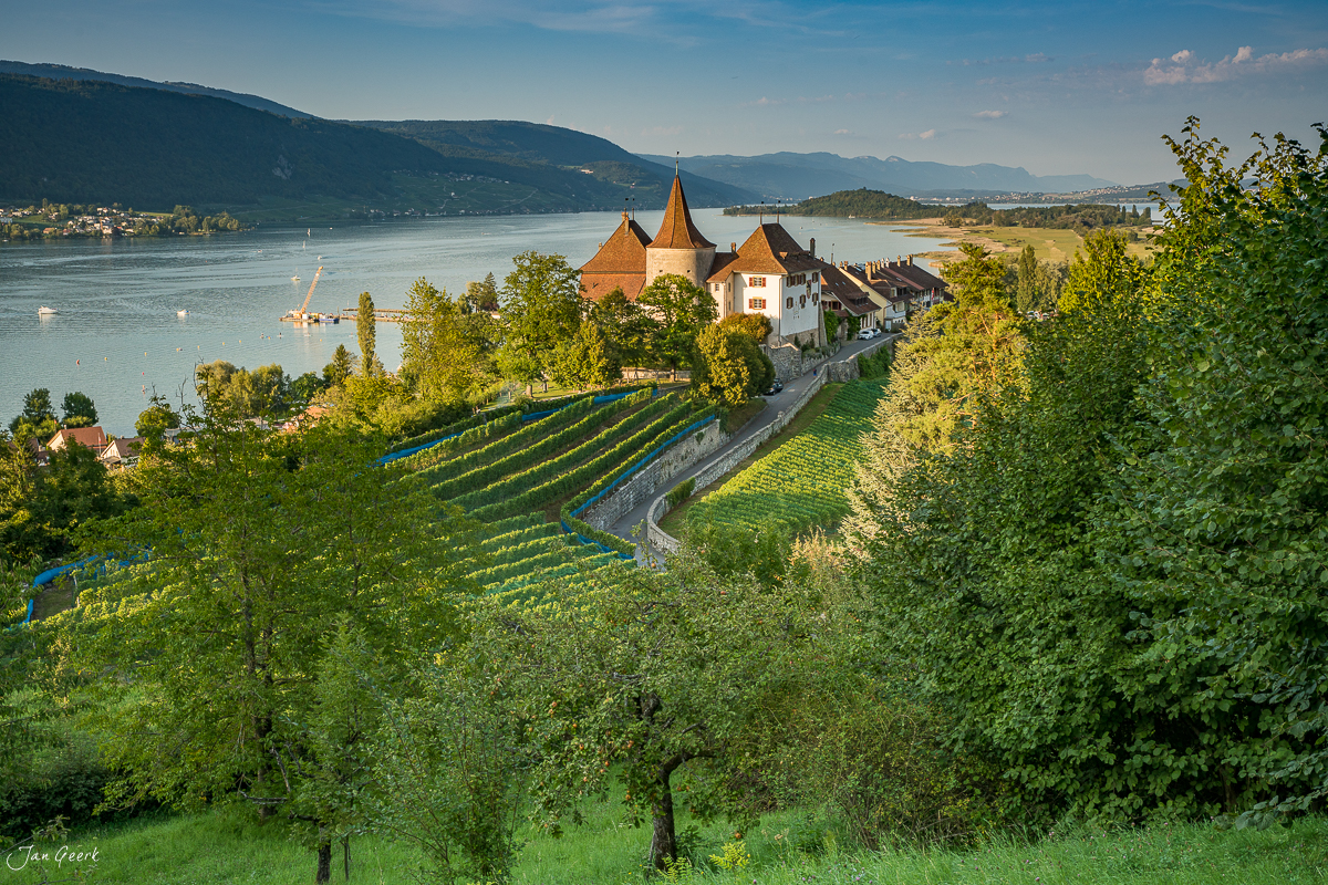 Schloss Erlach am Bielersee mit Weinbergen, Sommerlichtstimmung, Seeland Schweiz – Jan Geerk Fotograf Basel