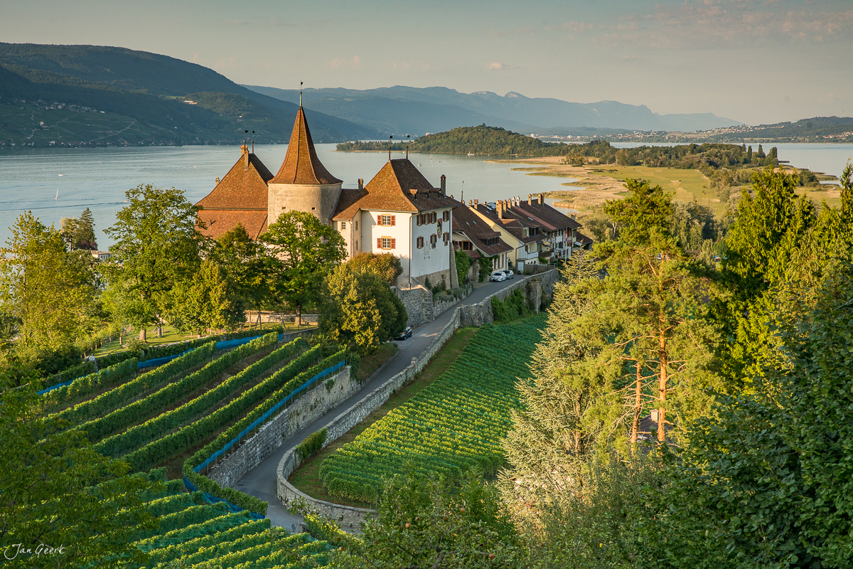 Schloss Erlach am Bielersee mit Weinreben und Seeufer bei Sonnenschein, Seeland Schweiz – Jan Geerk Fotograf Basel