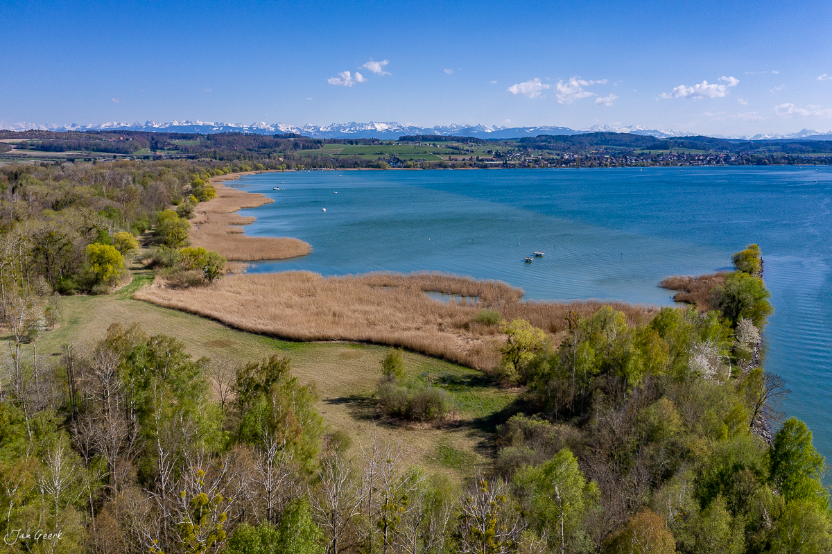 Drohnenaufnahme Murtensee im Frühling mit Alpenblick und Uferschilfgürtel Schweiz Jan Geerk Fotograf Basel