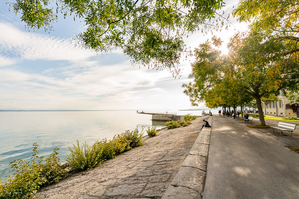 Seeufer mit Herbstbäumen am Neuenburgersee, Seeland Schweiz – Jan Geerk Fotograf Basel