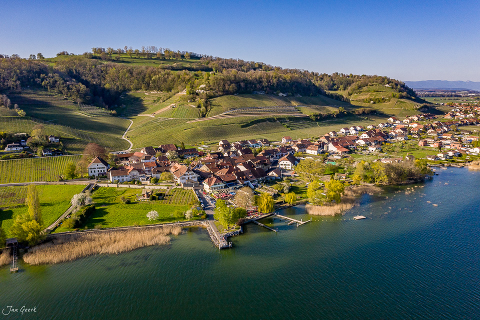 Luftaufnahme Dorf Praz am Murtensee mit Weinbergen und Alpen Frühling Schweiz Jan Geerk Fotograf Basel