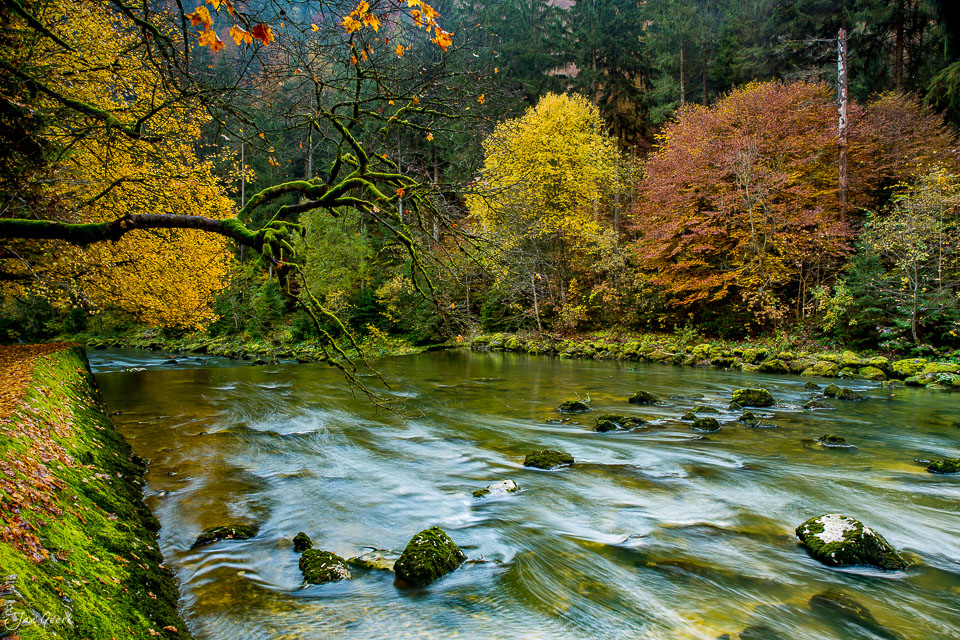 Gorges de l'Areuse Schlucht Herbstwald Neuenburg Schweiz – Jan Geerk Fotograf Basel