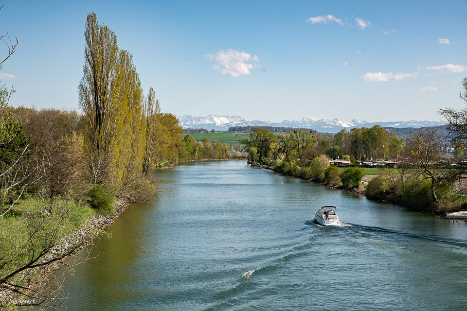 Motorboot auf dem Murtensee mit Pappeln, Alpenpanorama im Frühling, Seeland Schweiz – Jan Geerk Fotograf Basel