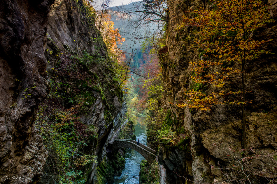 Enge Felskluft der Gorges de l'Areuse mit moosigen Wänden, herbstlichem Laubwald und Holzbrücke in der Schweiz – Jan Geerk Fotograf Basel