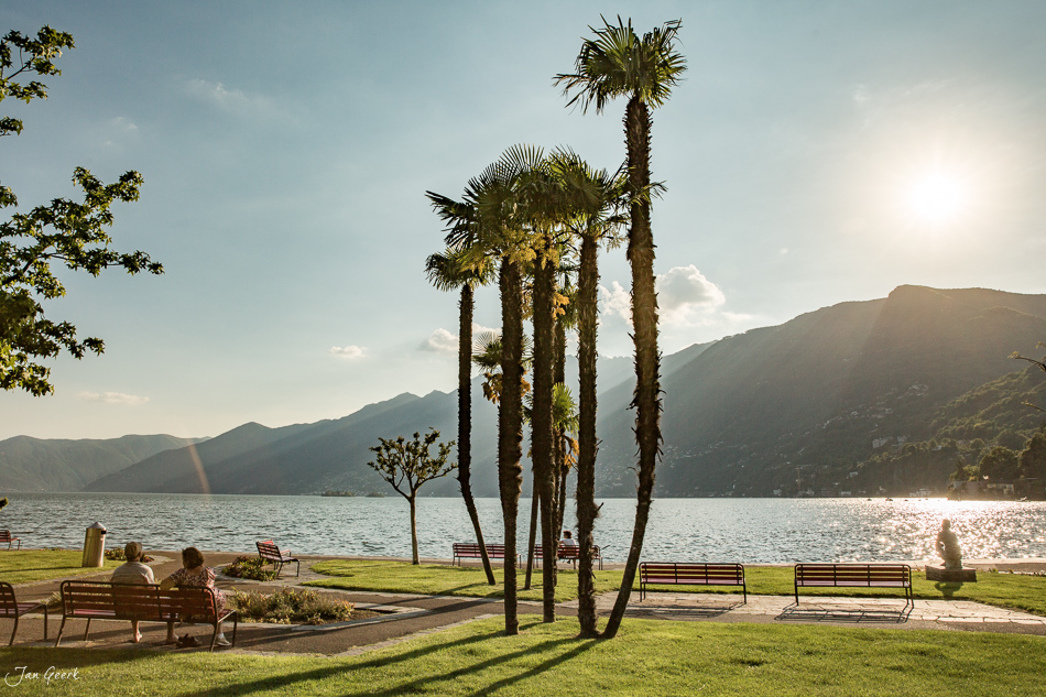 Palmen und Bank am Seeufer von Ascona mit Bergblick im Frühling Tessin Schweiz – Jan Geerk Fotograf Basel