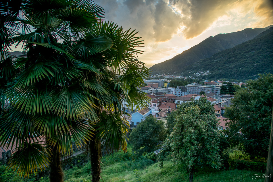 Palmenbäume im Vordergrund mit Blick auf Bellinzona und die umliegenden Berge an einem sonnigen Sommertag in der Schweiz – Jan Geerk Fotograf Basel