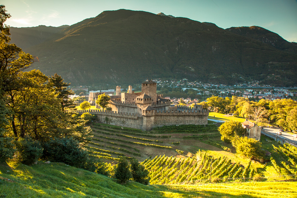 Burgruine Bellinzona Weinberge Sommersonne Tessin Schweiz Jan Geerk Fotograf Basel