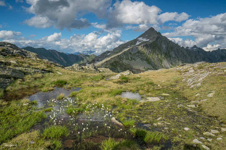 Hochgebirgslandschaft Lajozz mit alpinen Seen, Blütenflora und Bergpanorama im Sommer, Tessin Schweiz – Jan Geerk Fotograf Basel