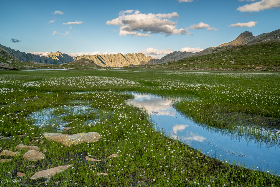 Blütenreiche Hochebene mit Bergseen und Bergketten bei Lajozz, Tessin, Schweiz – Jan Geerk Fotograf Basel