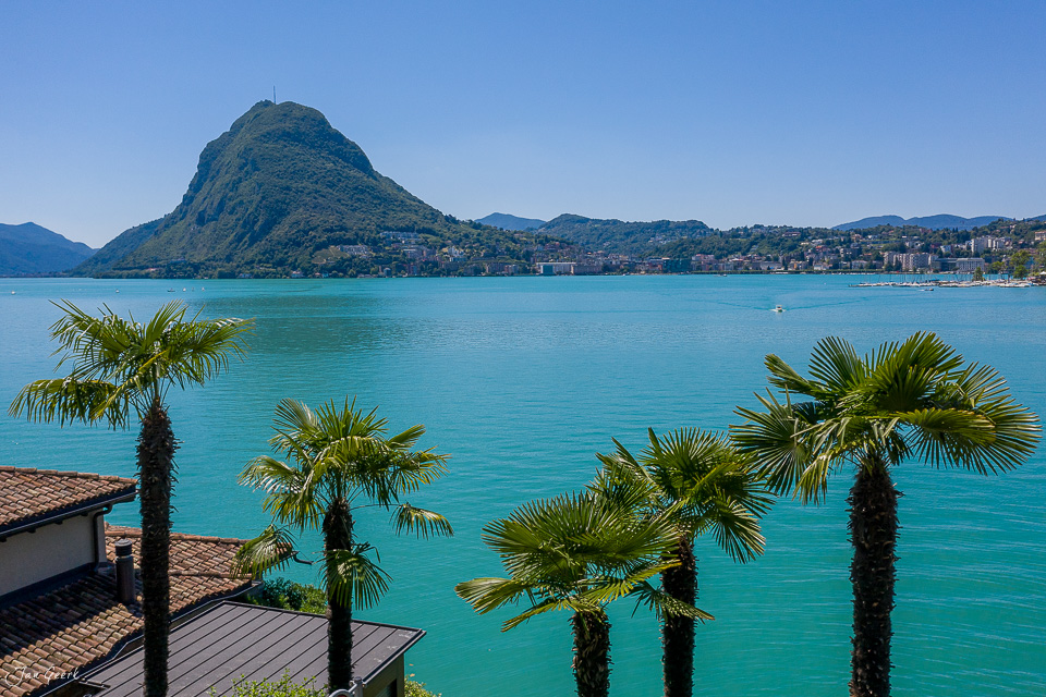 Lugano See mit Monte Salvatore und Palmen, türkisblaues Wasser Sommertag Tessin Schweiz – Jan Geerk Fotograf Basel