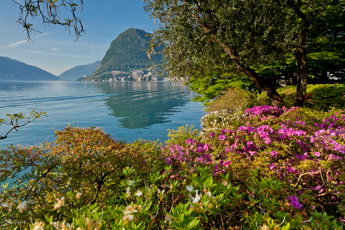 Parco Ciani Lugano Rhododendren Monte San Salvatore Luganersee Tessin Schweiz – Jan Geerk Fotograf Basel