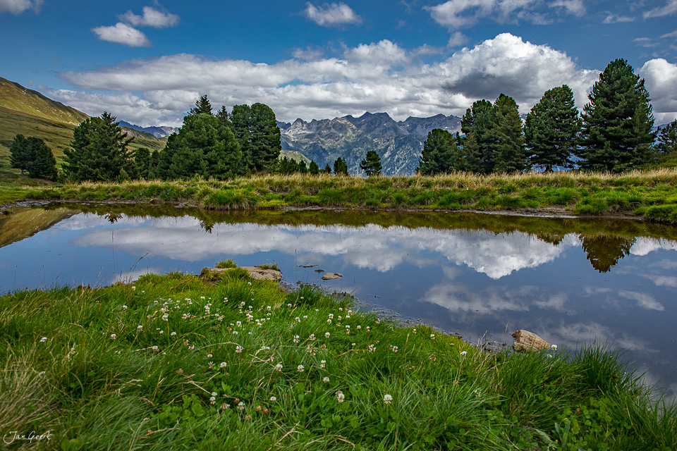 Alpwiese mit Wildblumen und spiegelnder Bach, Bergreflexion, Sommerlicht Tessin Schweiz – Jan Geerk Fotograf Basel