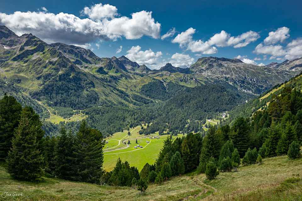 Alpental mit grünen Wiesen und Fichten unter blauem Himmel, Tessin Sommerlandschaft Schweiz – Jan Geerk Fotograf Basel
