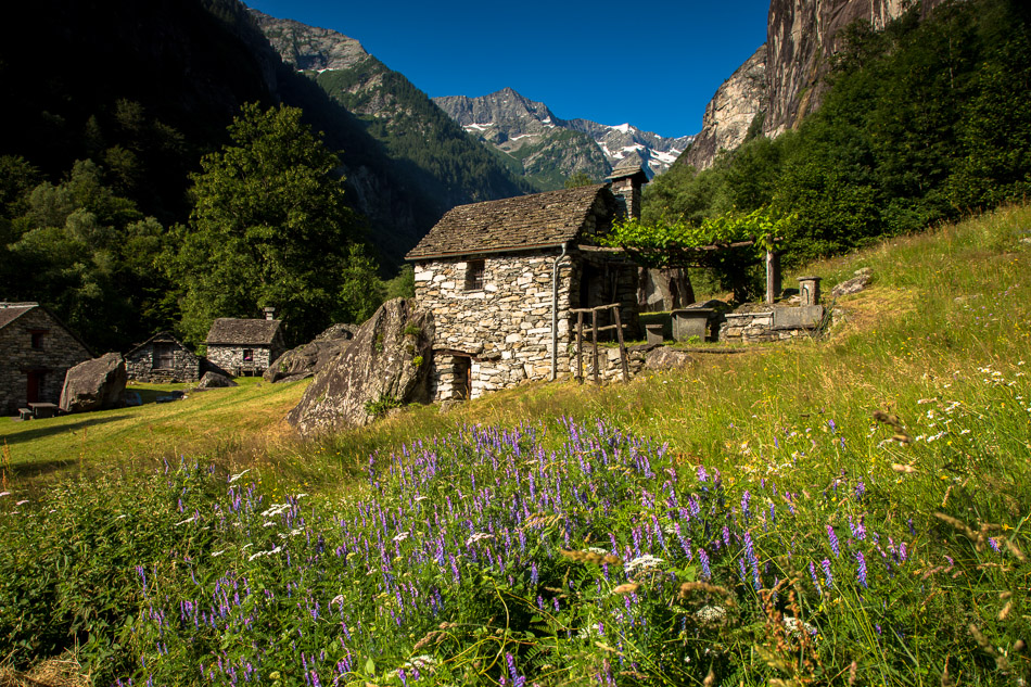 Steinhaus Maggiatal Sommerwiese Lavendel Tessin Schweiz Jan Geerk Fotograf Basel