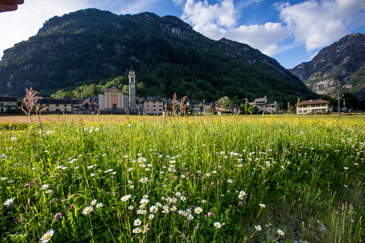 Blütenwiese mit Gänseblümchen im Bleniotal, Kirche mit Bergen im Hintergrund, Frühling, Tessin Schweiz – Jan Geerk Fotograf Basel