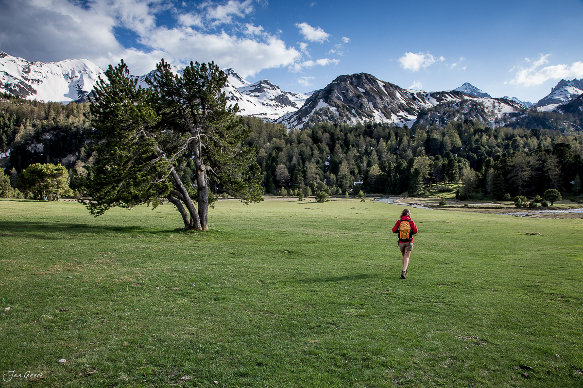Läufer mit rotem Rucksack auf grüner Alp im Bleniotal, schneebedeckte Berge im Hintergrund, Frühling, Tessin Schweiz – Jan Geerk Fotograf Basel
