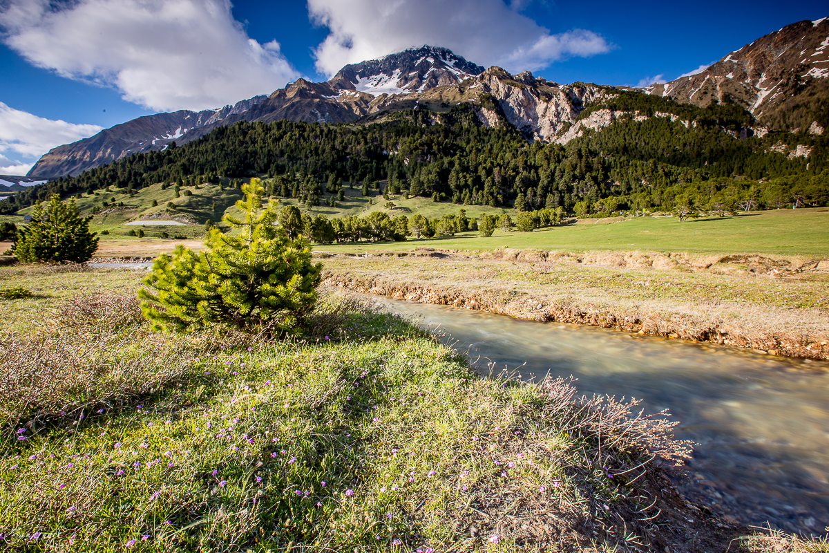 Alpental mit Bach und Bergpanorama im Bleniotal, Frühlingsstimmung, Nordtessin Schweiz – Jan Geerk Fotograf Basel