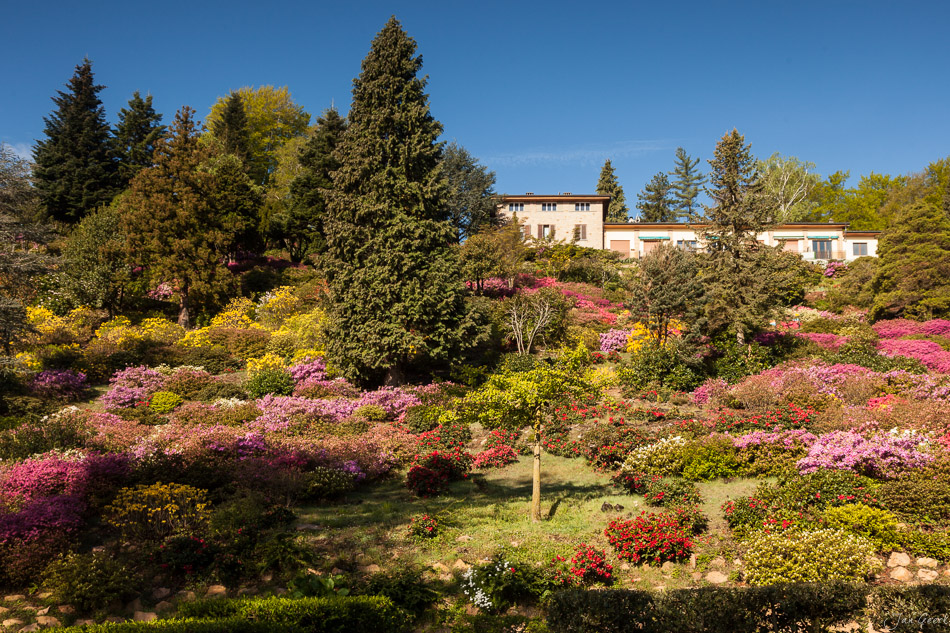 Blütenreiche Parklandschaft in Morcote mit farbenfrohen Azaleen und Rhododendren im Frühling, Tessin Schweiz – Jan Geerk Fotograf Basel