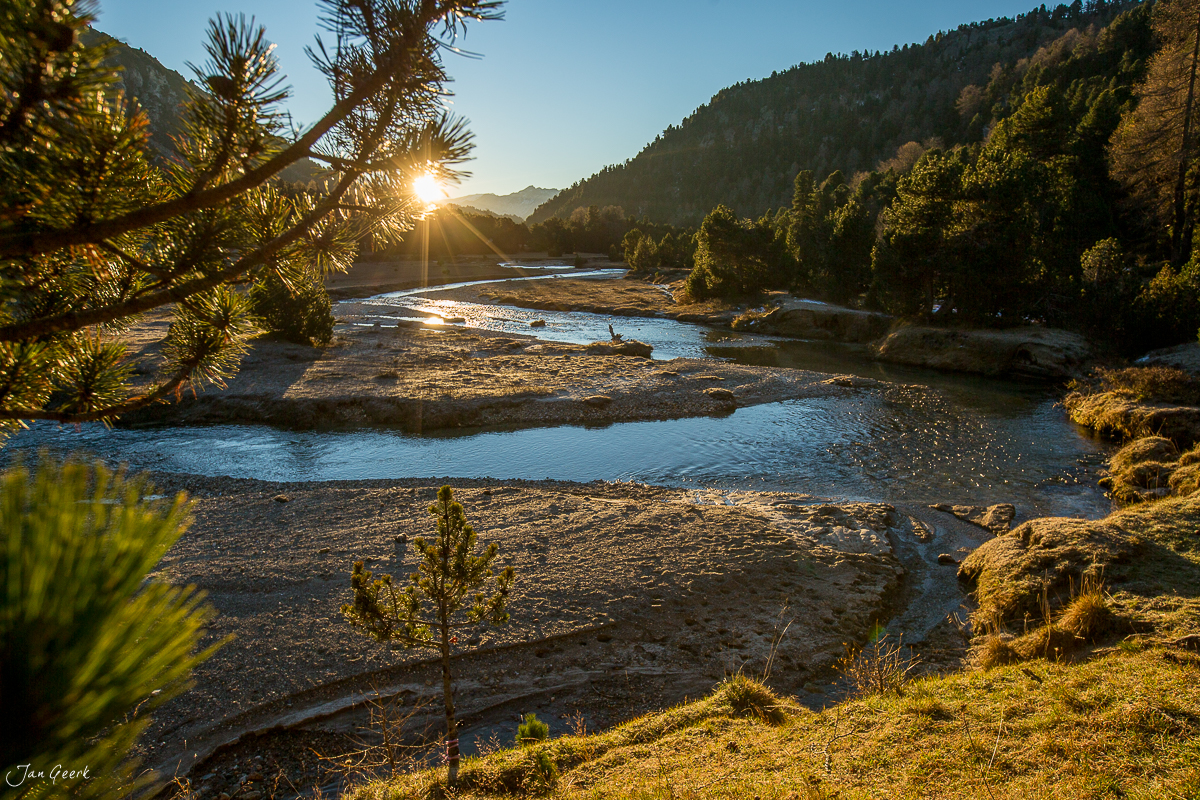 Herbstliche Flusslandschaft im Tessin mit Gebirgspanorama, golden beleuchtete Nadelwälder, Schweiz – Jan Geerk Fotograf Basel